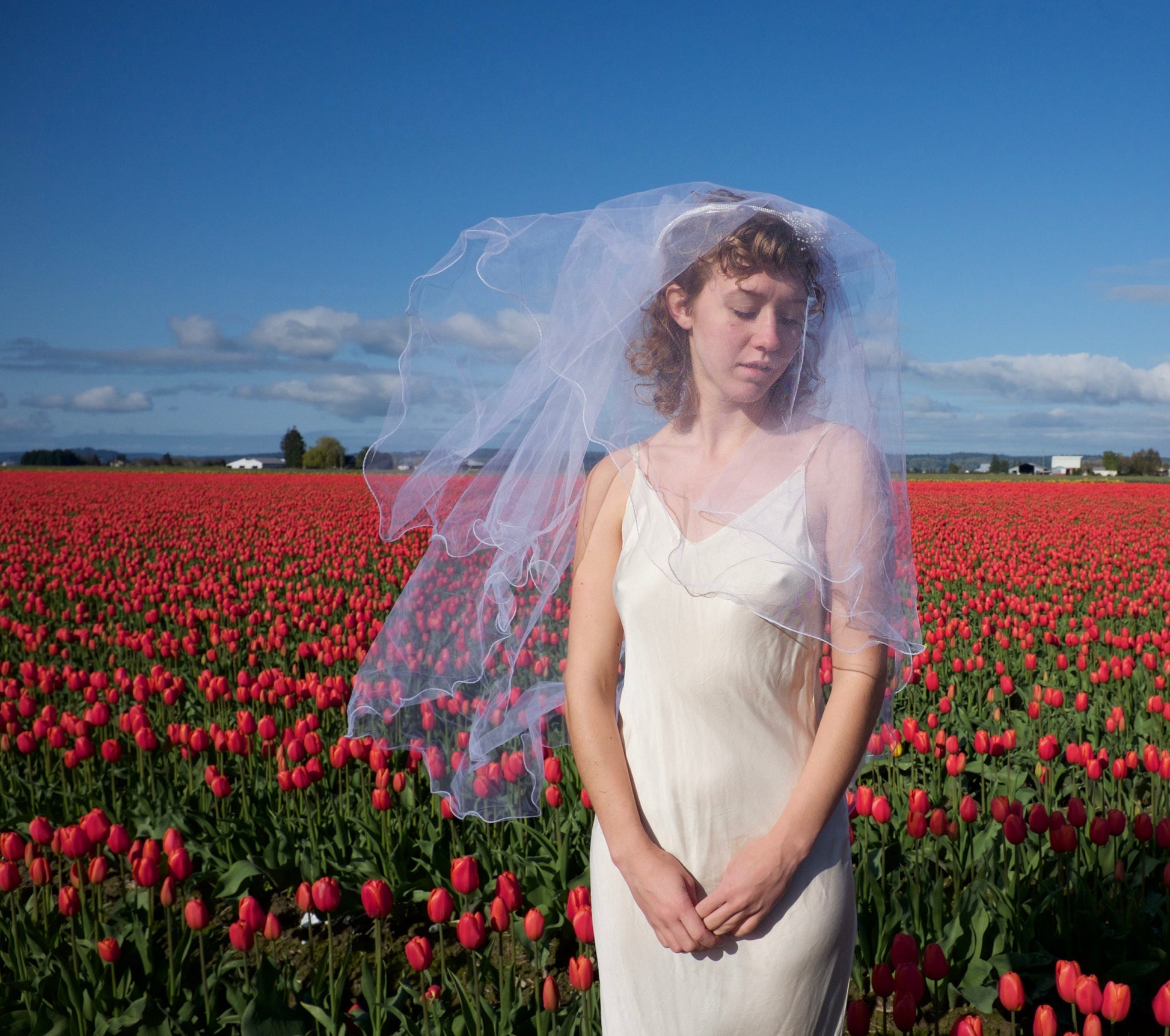 Vintage veil with floral embellishments and faux pearl accents