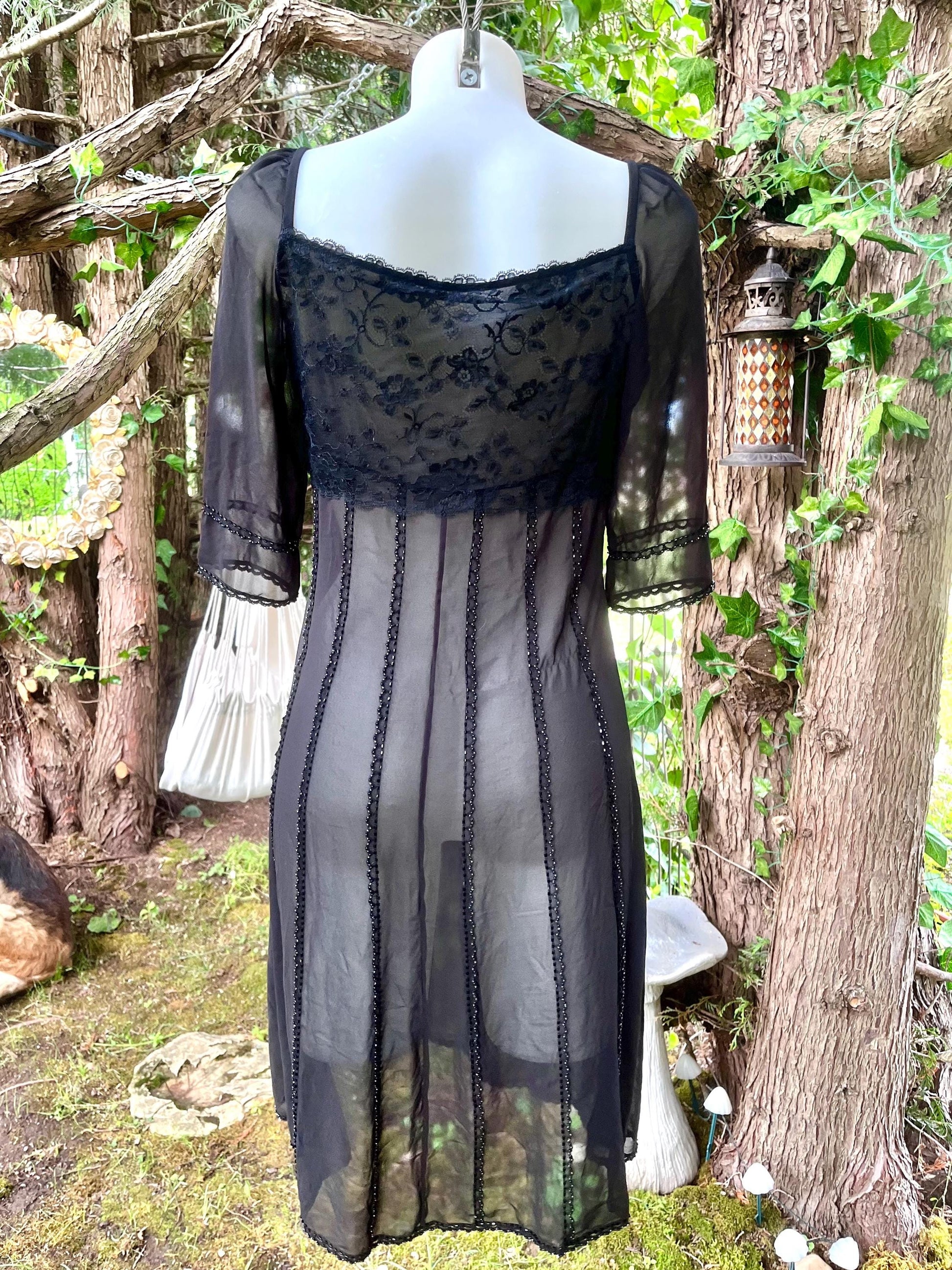 Silk Black Sheer Dress With Intricate Beading